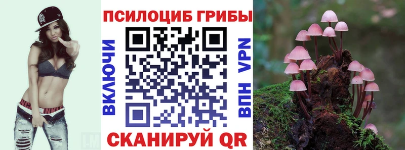 Псилоцибиновые грибы прущие грибы  закладки  Полесск 